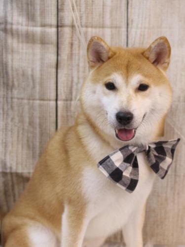 20241012リョウスケくん